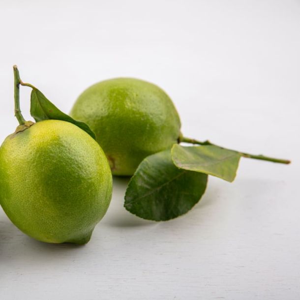 Mosambi