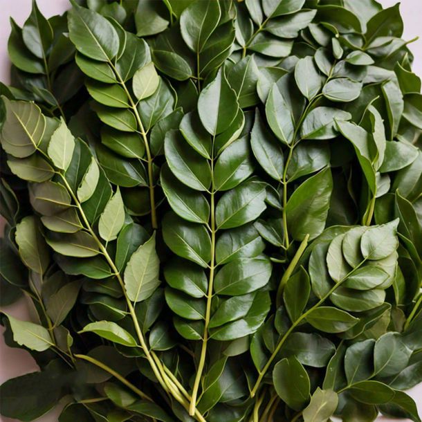 Curry Leaves