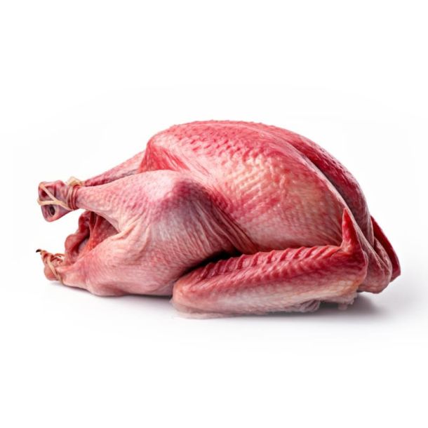 Turkey