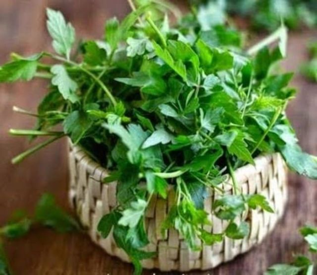 Mudakathan Keerai - 1 கட்டு