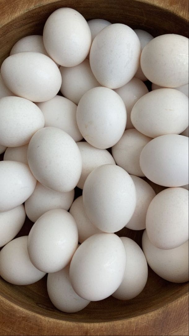 Broiler Egg