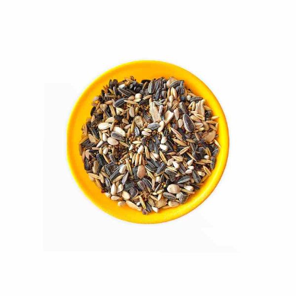 Sun Conure Bird Food