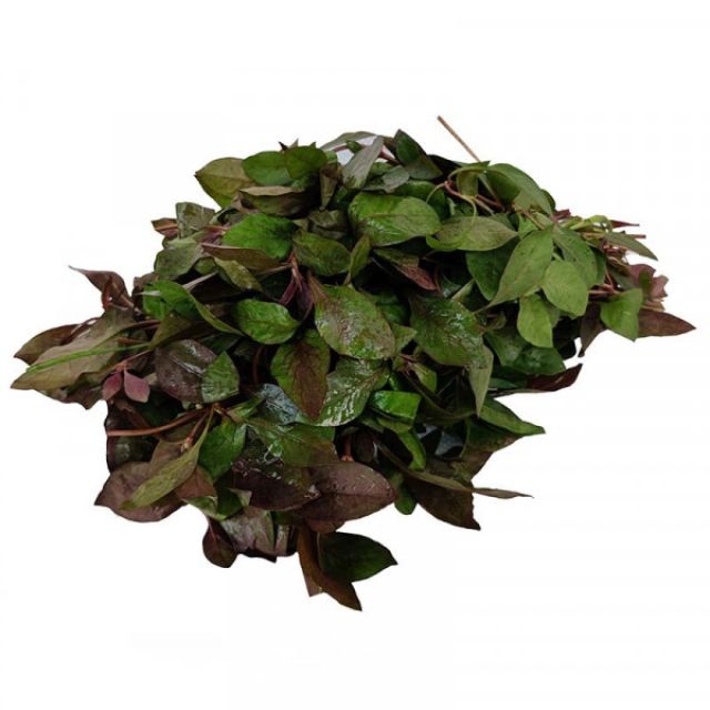 Ponnankanni - 1 கட்டு