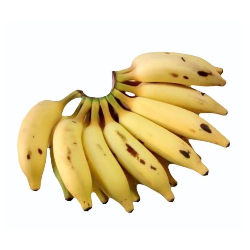 banana様 banana_matti.jpg